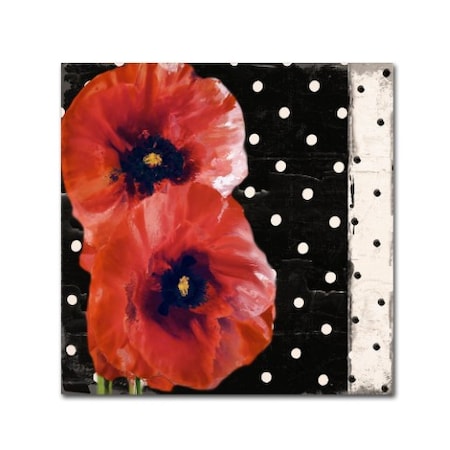 Color Bakery 'Scarlet Poppies II' Canvas Art,18x18